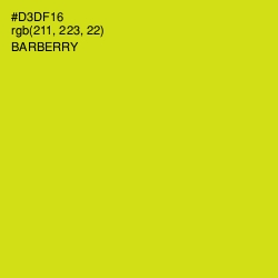 #D3DF16 - Barberry Color Image