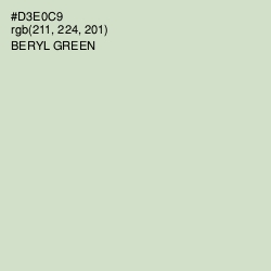 #D3E0C9 - Beryl Green Color Image
