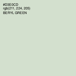 #D3E0CD - Beryl Green Color Image