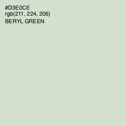 #D3E0CE - Beryl Green Color Image