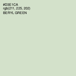 #D3E1CA - Beryl Green Color Image