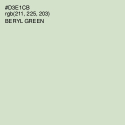 #D3E1CB - Beryl Green Color Image