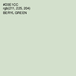 #D3E1CC - Beryl Green Color Image