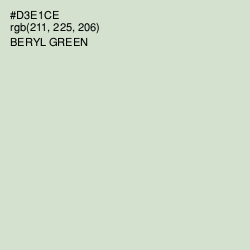 #D3E1CE - Beryl Green Color Image