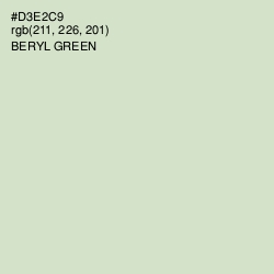 #D3E2C9 - Beryl Green Color Image