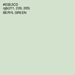 #D3E2CD - Beryl Green Color Image
