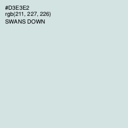 #D3E3E2 - Swans Down Color Image