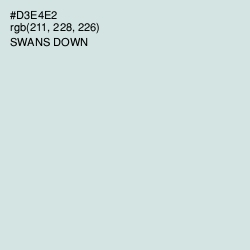 #D3E4E2 - Swans Down Color Image