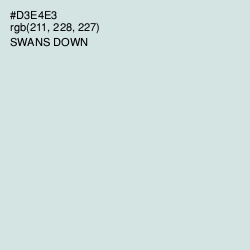 #D3E4E3 - Swans Down Color Image