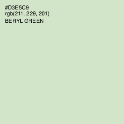 #D3E5C9 - Beryl Green Color Image