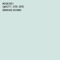 #D3E5E1 - Swans Down Color Image
