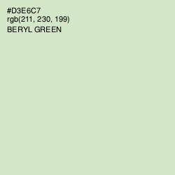 #D3E6C7 - Beryl Green Color Image