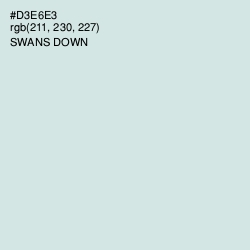 #D3E6E3 - Swans Down Color Image