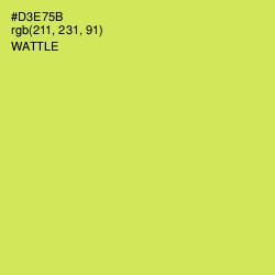 #D3E75B - Wattle Color Image