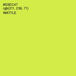 #D3EC47 - Wattle Color Image