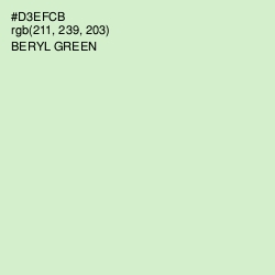 #D3EFCB - Beryl Green Color Image