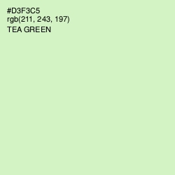 #D3F3C5 - Tea Green Color Image