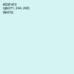 #D3F4F2 - Iceberg Color Image