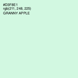 #D3F8E1 - Granny Apple Color Image