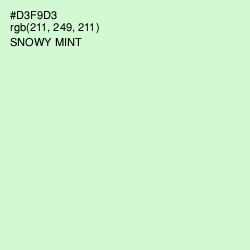 #D3F9D3 - Snowy Mint Color Image