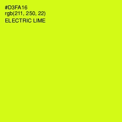 #D3FA16 - Electric Lime Color Image