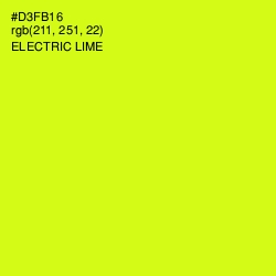 #D3FB16 - Electric Lime Color Image