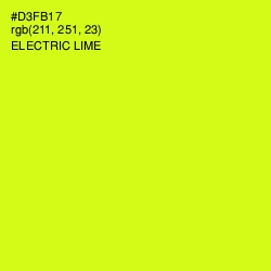 #D3FB17 - Electric Lime Color Image