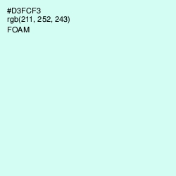 #D3FCF3 - Foam Color Image