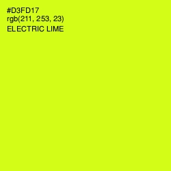 #D3FD17 - Electric Lime Color Image