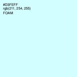 #D3FEFF - Foam Color Image