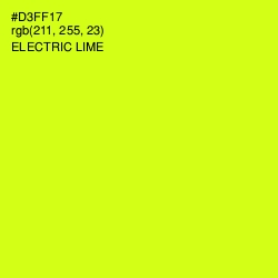 #D3FF17 - Electric Lime Color Image