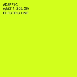 #D3FF1C - Electric Lime Color Image