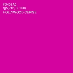 #D403A0 - Hollywood Cerise Color Image