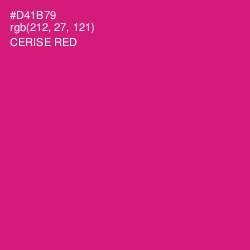 #D41B79 - Cerise Red Color Image