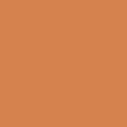 #D4814E - Tussock Color Image