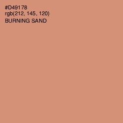 #D49178 - Burning Sand Color Image