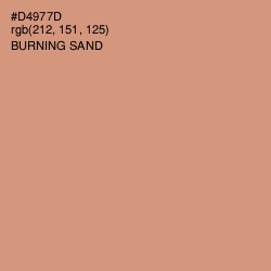 #D4977D - Burning Sand Color Image