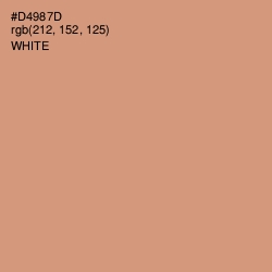 #D4987D - Burning Sand Color Image