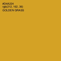 #D4A224 - Golden Grass Color Image