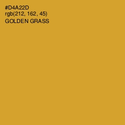 #D4A22D - Golden Grass Color Image