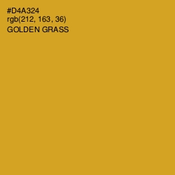 #D4A324 - Golden Grass Color Image