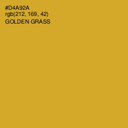 #D4A92A - Golden Grass Color Image