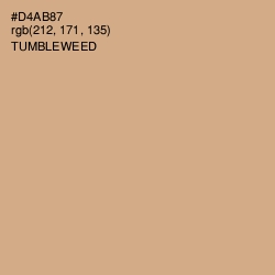 #D4AB87 - Tumbleweed Color Image