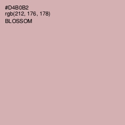 #D4B0B2 - Blossom Color Image