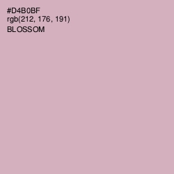 #D4B0BF - Blossom Color Image