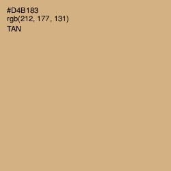 #D4B183 - Tan Color Image