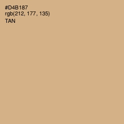 #D4B187 - Tan Color Image