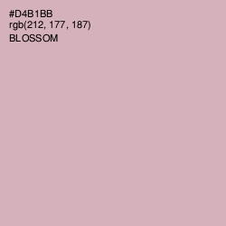 #D4B1BB - Blossom Color Image