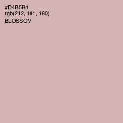 #D4B5B4 - Blossom Color Image