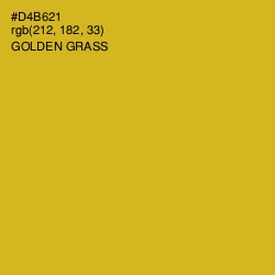 #D4B621 - Golden Grass Color Image